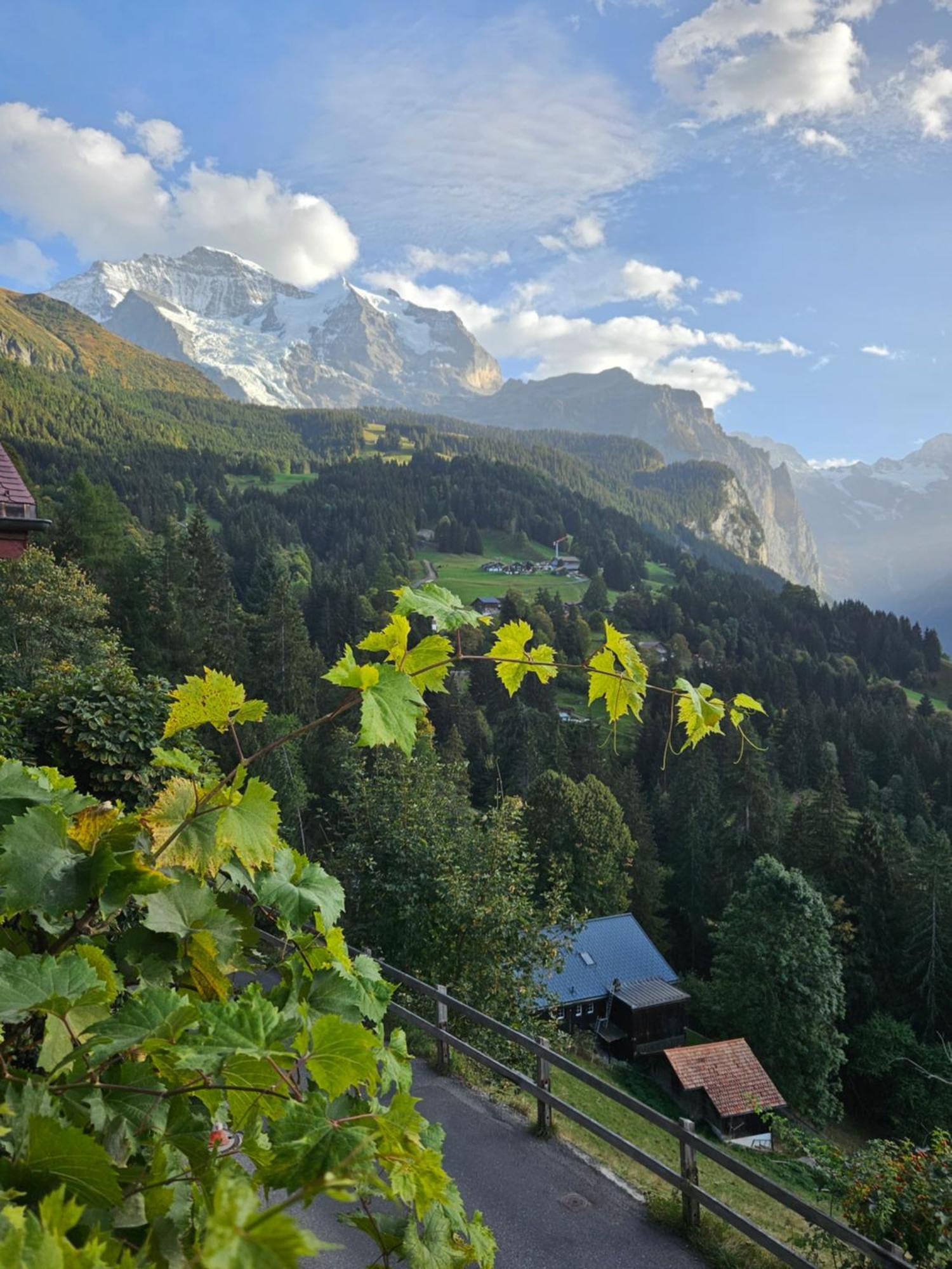 Chalet Aargovia South Wengen Bagian luar foto